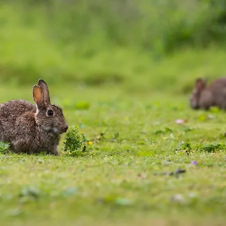 Yorkshire Dales 3 By Together Travel - 3-bed Family Retreat * Richmond (North Yorkshire)